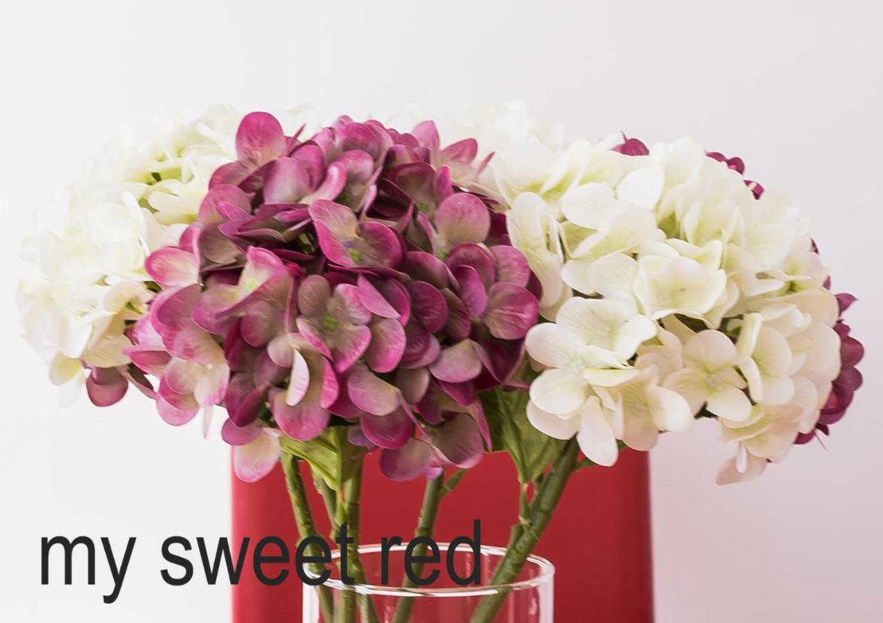 My Sweet Red Apartment بينايدورم المظهر الخارجي الصورة